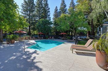 A pool surrounded by trees and chairs.